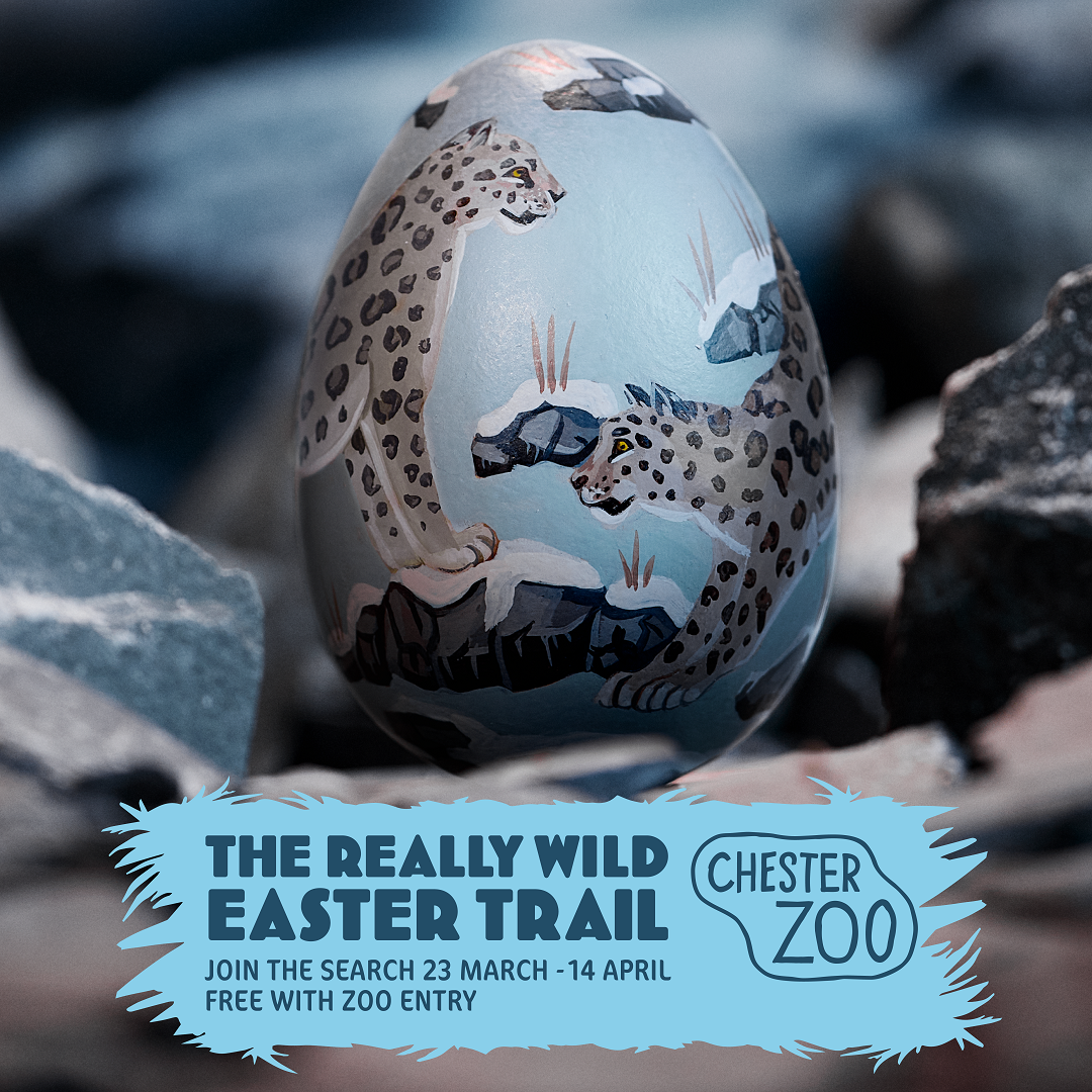 The Really Wild Egg Trail at Chester Zoo